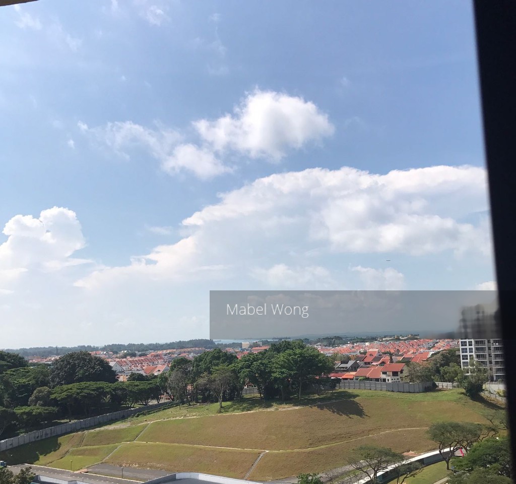 The Tanamera (D16), Condominium #145410262